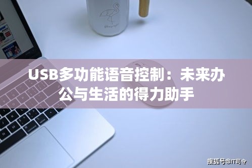 USB多功能语音控制：未来办公与生活的得力助手