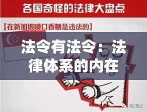 法令有法令：法律体系的内在逻辑与和谐