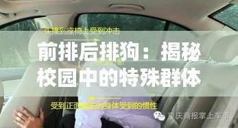 前排后排狗：揭秘校园中的特殊群体及其生活状态