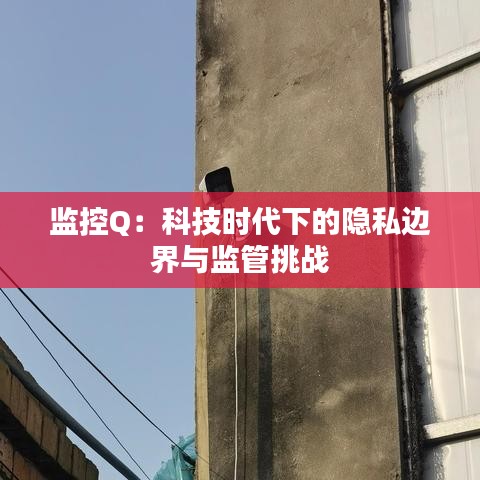 监控Q：科技时代下的隐私边界与监管挑战