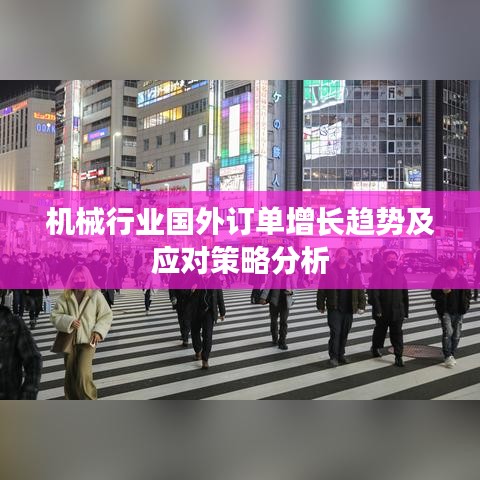 机械行业国外订单增长趋势及应对策略分析