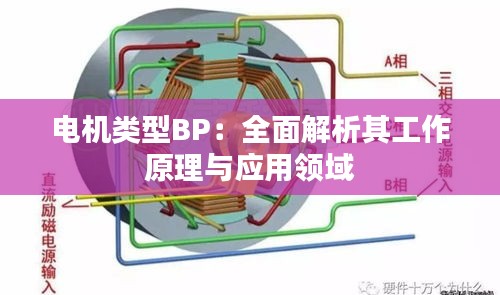 电机类型BP：全面解析其工作原理与应用领域