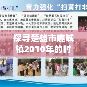 探寻楚雄市鹿城镇2010年的时光印记