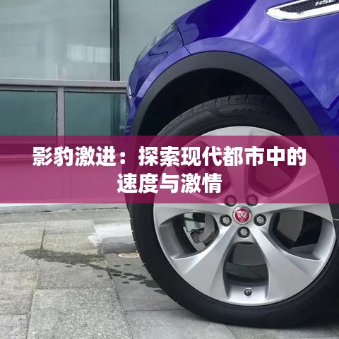 影豹激进：探索现代都市中的速度与激情