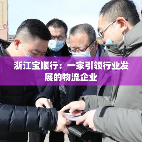 浙江宝顺行：一家引领行业发展的物流企业