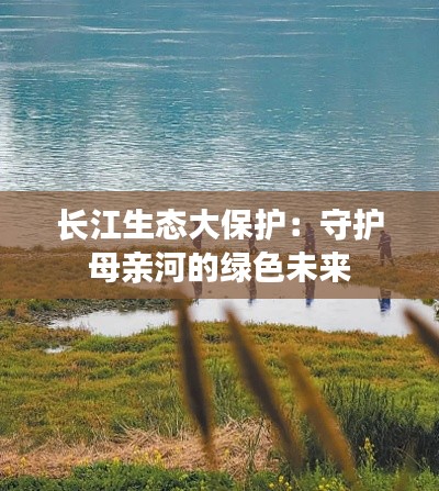 长江生态大保护：守护母亲河的绿色未来