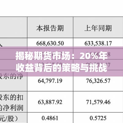 揭秘期货市场：20%年收益背后的策略与挑战