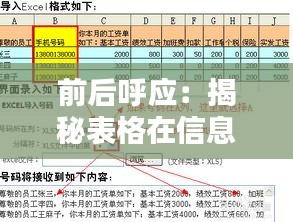 前后呼应：揭秘表格在信息传递中的关键作用