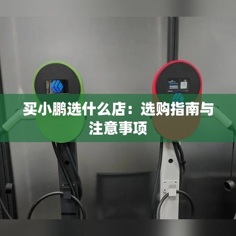 买小鹏选什么店：选购指南与注意事项