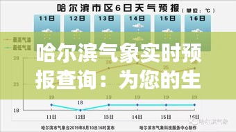 哈尔滨气象实时预报查询：为您的生活保驾护航