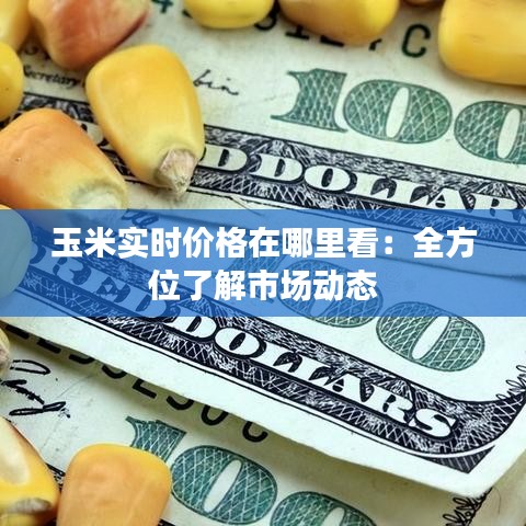 玉米实时价格在哪里看：全方位了解市场动态