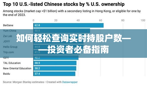 如何轻松查询实时持股户数——投资者必备指南