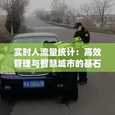 实时人流量统计：高效管理与智慧城市的基石