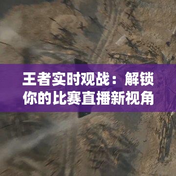 王者实时观战：解锁你的比赛直播新视角