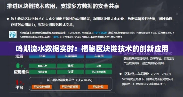 鸣潮流水数据实时：揭秘区块链技术的创新应用