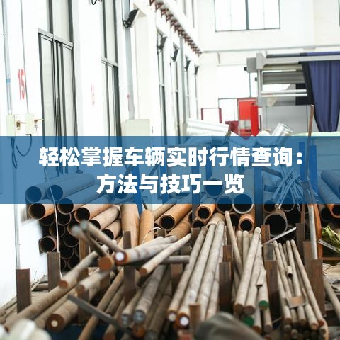 轻松掌握车辆实时行情查询：方法与技巧一览