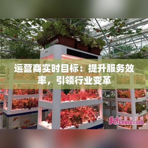 运营商实时目标：提升服务效率，引领行业变革