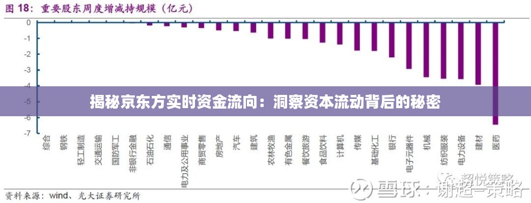 揭秘京东方实时资金流向：洞察资本流动背后的秘密