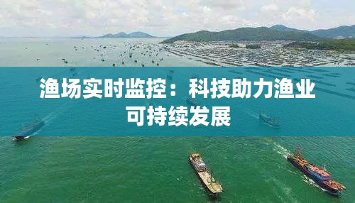 渔场实时监控：科技助力渔业可持续发展