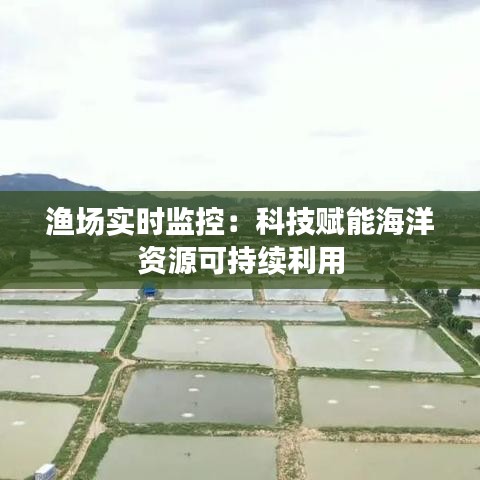 渔场实时监控：科技赋能海洋资源可持续利用