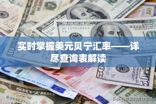 实时掌握美元贝宁汇率——详尽查询表解读