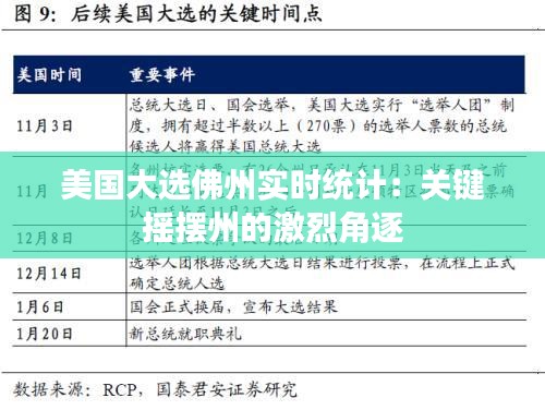 美国大选佛州实时统计：关键摇摆州的激烈角逐