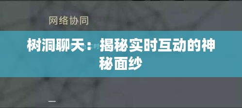 树洞聊天：揭秘实时互动的神秘面纱