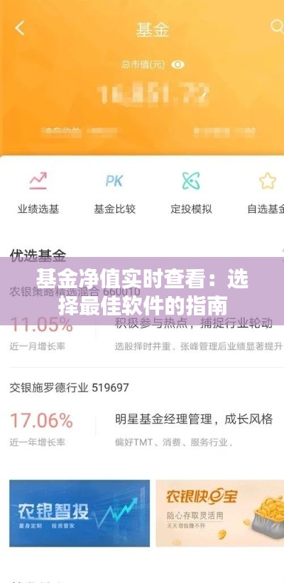 基金净值实时查看：选择最佳软件的指南