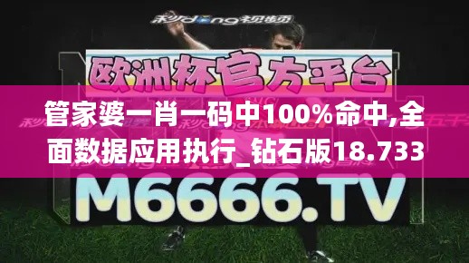 管家婆一肖一码中100%命中,全面数据应用执行_钻石版18.733