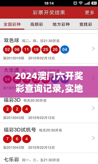 2024澳门六开奖彩查询记录,实地执行考察数据_游戏版5.736