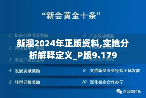 新澳2024年正版资料,实地分析解释定义_P版9.179