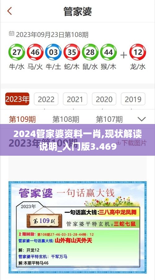 2024管家婆资料一肖,现状解读说明_入门版3.469