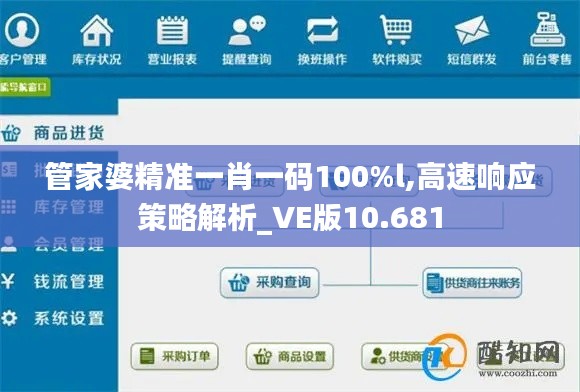 管家婆精准一肖一码100%l,高速响应策略解析_VE版10.681