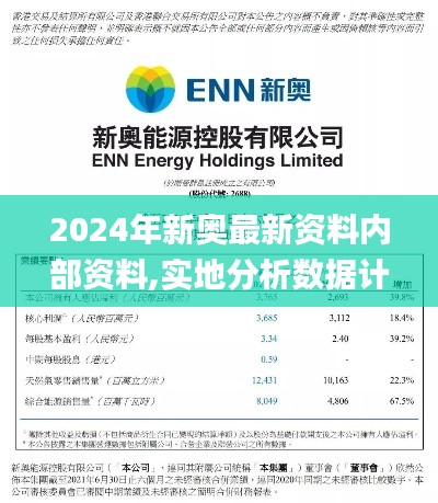 2024年新奥最新资料内部资料,实地分析数据计划_7DM6.350