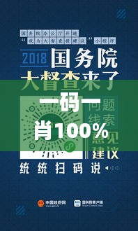 一码一肖100%的资料,创新解析方案_移动版110.838