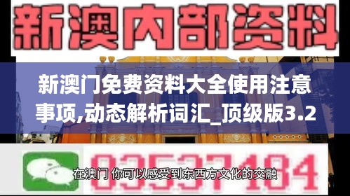 新澳门免费资料大全使用注意事项,动态解析词汇_顶级版3.231