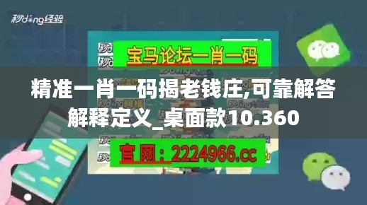 精准一肖一码揭老钱庄,可靠解答解释定义_桌面款10.360