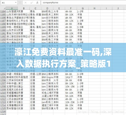 濠江免费资料最准一码,深入数据执行方案_策略版1.372