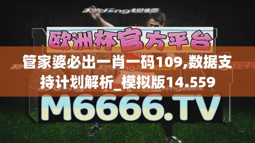 管家婆必出一肖一码109,数据支持计划解析_模拟版14.559