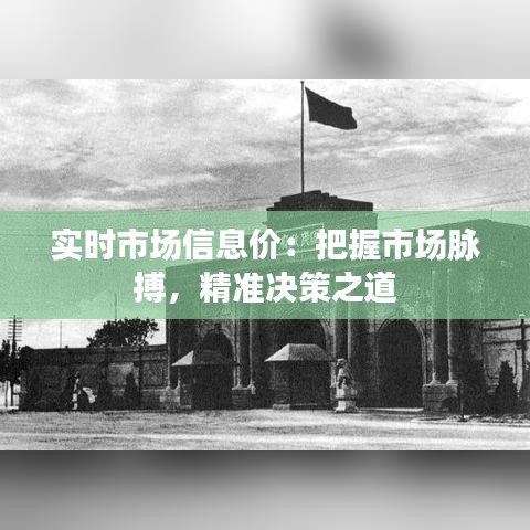 实时市场信息价：把握市场脉搏，精准决策之道