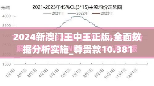 2024新澳门王中王正版,全面数据分析实施_尊贵款10.381