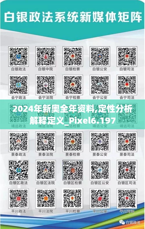 2024年新奥全年资料,定性分析解释定义_Pixel6.197