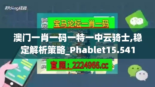 澳门一肖一码一特一中云骑士,稳定解析策略_Phablet15.541