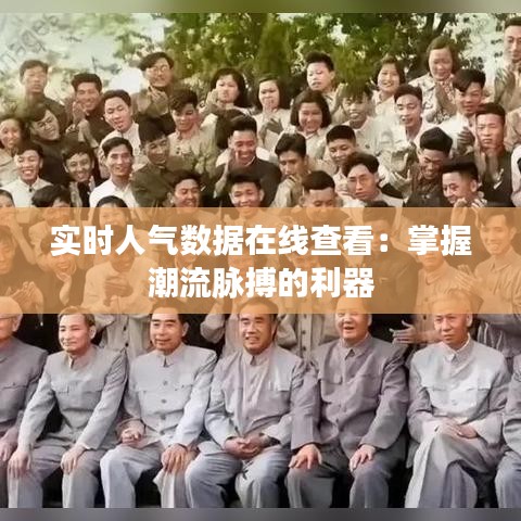 实时人气数据在线查看：掌握潮流脉搏的利器