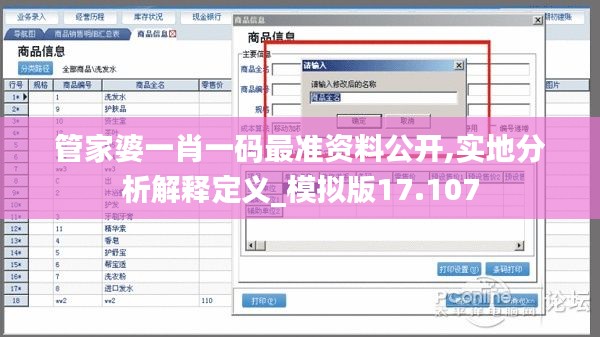 管家婆一肖一码最准资料公开,实地分析解释定义_模拟版17.107