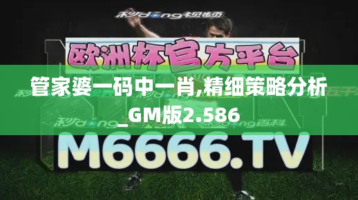 管家婆一码中一肖,精细策略分析_GM版2.586