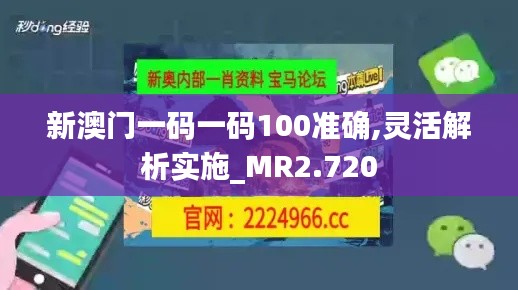 新澳门一码一码100准确,灵活解析实施_MR2.720