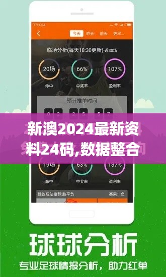 新澳2024最新资料24码,数据整合设计执行_娱乐版5.480