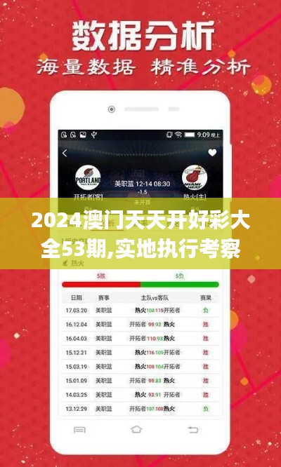 2024澳门天天开好彩大全53期,实地执行考察数据_投资版10.591