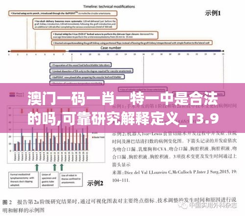 澳门一码一肖一特一中是合法的吗,可靠研究解释定义_T3.930